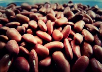 Carin’s Tasty Bean Salad
