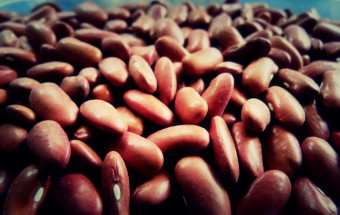 Kidney beans